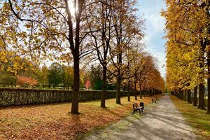 Schloss und Schlossgarten Weikersheim, Kastanienallee im Herbst