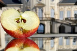 Schloss Solitude, Apfel vor dem Schloss