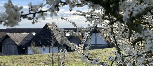 Heuneburg – Stadt Pyrene