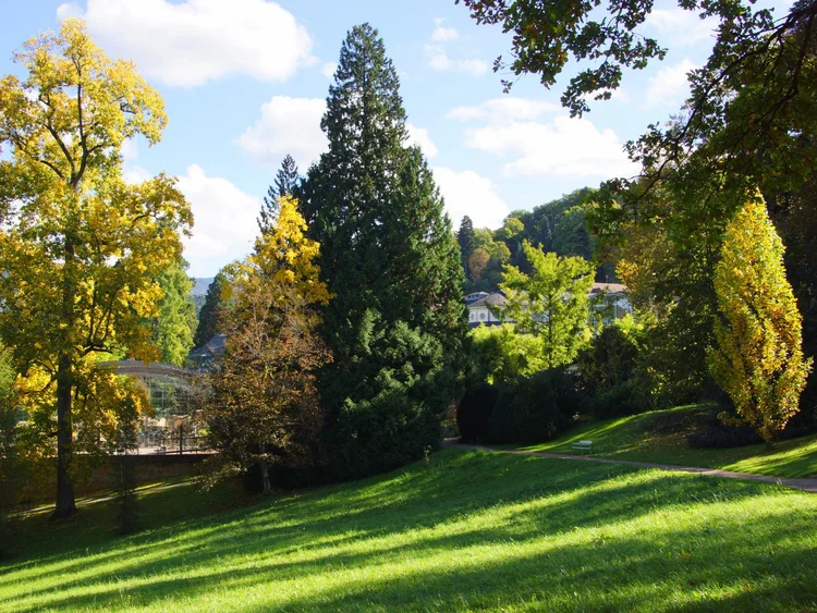 L`image: Badenweiler Tourismus GmbH Parcs de Badenweiler