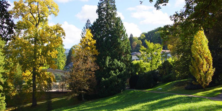 Parcs de Badenweiler