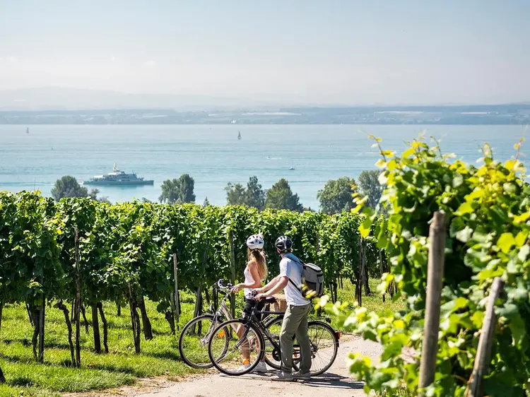 Foto: Deutsche Bodensee Tourismus GmbH, Dieter Denger Radfahrer in den Weinbergen