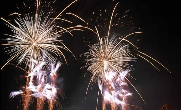 25 ludwigsburg sf aussen feuerwerk bluehendes barock lmz003679 1990 foto lmz dieter jaeger